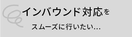 繁忙期には入場口に 長蛇の列 ができる…